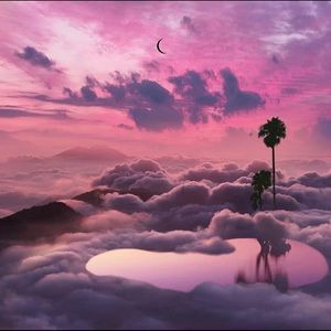 Meet your Posher, Edna